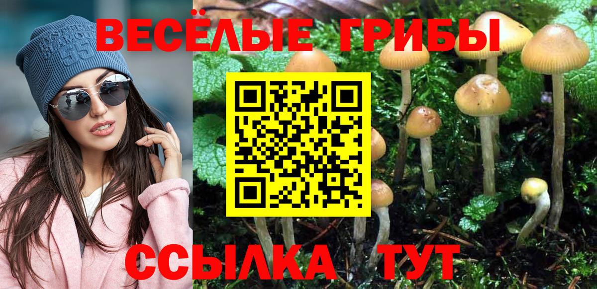 наркота  Псилоцибиновые грибы Psilocybine cubensis  Вход с VPN  Амурск 